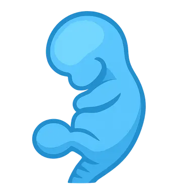 Developmental Basis of Congenital Anomalies