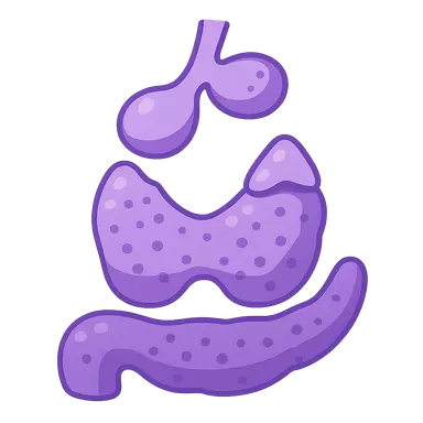 Multiple endocrine neoplasia syndromes