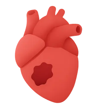 Myocardial infarction pathology