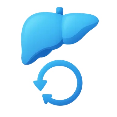 Overview and purpose of urea cycle
