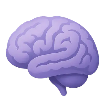 Cerebral Cortex Functions