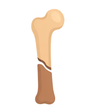 Fracture classification and management principles