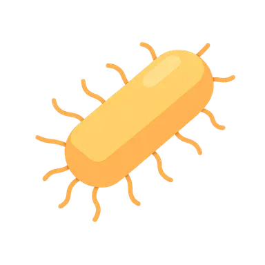 Escherichia coli