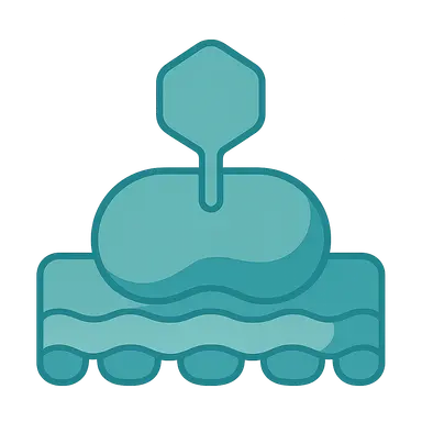 Phase I Reactions: Cytochrome P450 System
