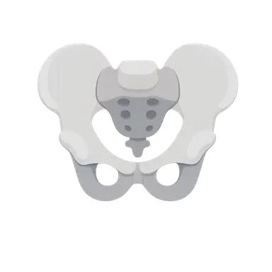 Pelvic radiologic landmarks