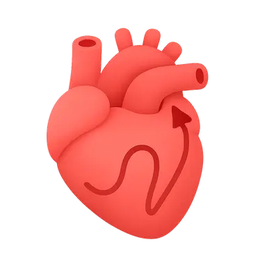 Supraventricular tachycardias
