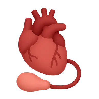 Advanced heart failure and transplantation