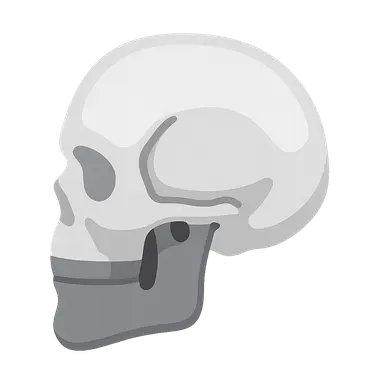 Lateral Skull Base Approaches