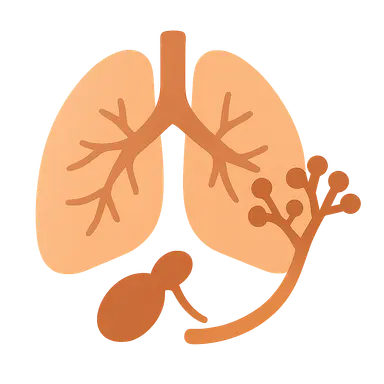 Host factors in dimorphic fungal infections