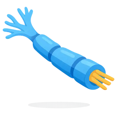 Peripheral nerve disorders