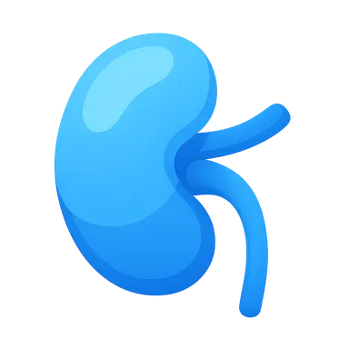 Metabolic Acidosis and Alkalosis