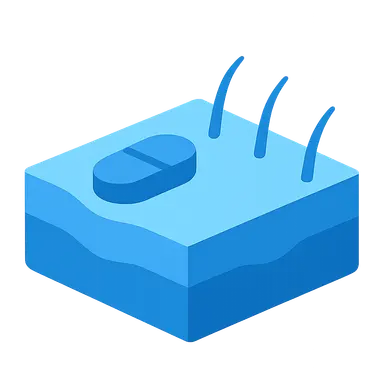 Absorption factors and bioavailability