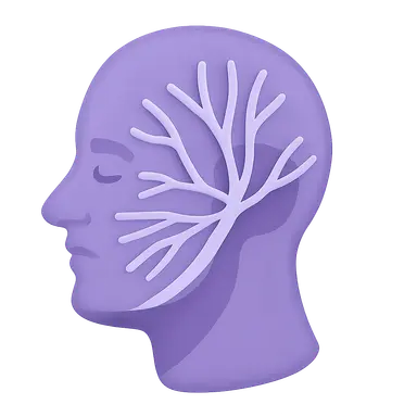 Cranial nerves and their pathways