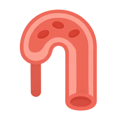 Compliance of blood vessels