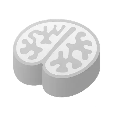 Sectional and Cross-sectional Anatomy