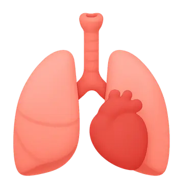 Airway, Breathing, Circulation priorities