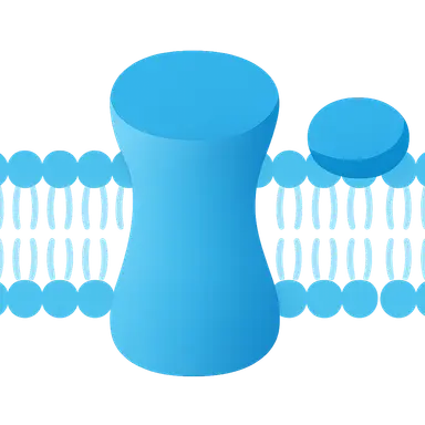 Membrane Proteins: Integral and Peripheral