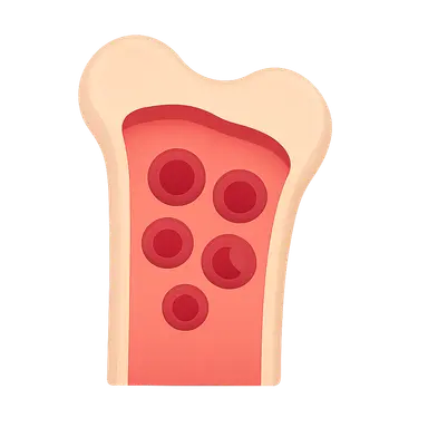 Myelodysplastic Syndromes