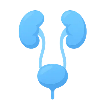 Pediatric Urology Basics