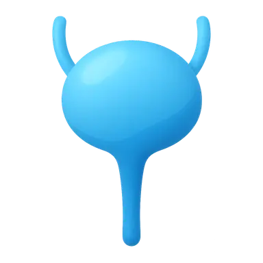 Autonomic Drugs in Urological Disorders