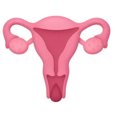 Normal Menstrual Physiology