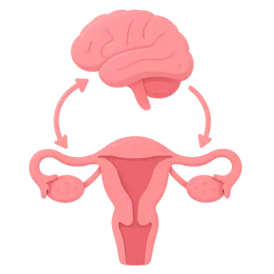 Hypothalamic-pituitary-gonadal axis