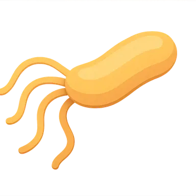 Helicobacter pylori