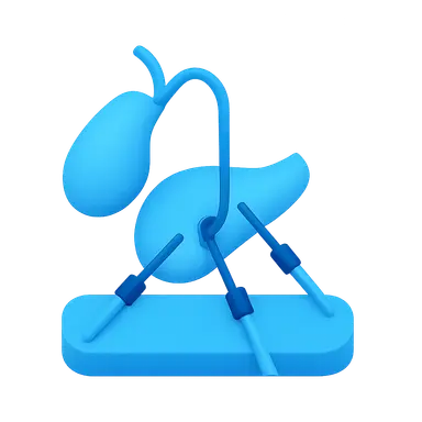 Laparoscopic Cholecystectomy