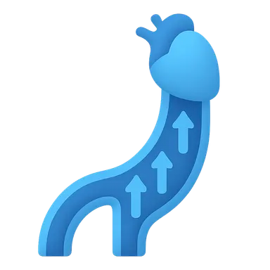 Venous pressure and return