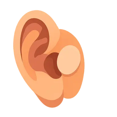 Tympanoplasty Techniques