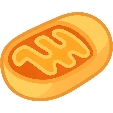 Bioenergetics and Thermodynamics