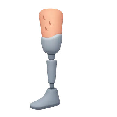 Lower Limb Prosthetics
