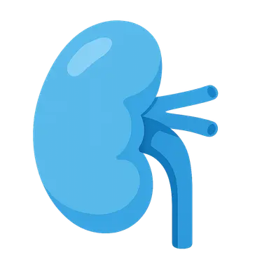 Renal bicarbonate handling