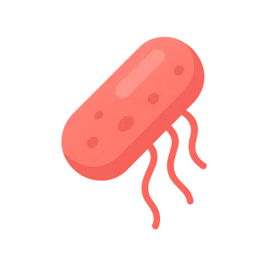 Multi-drug resistant gram-negatives