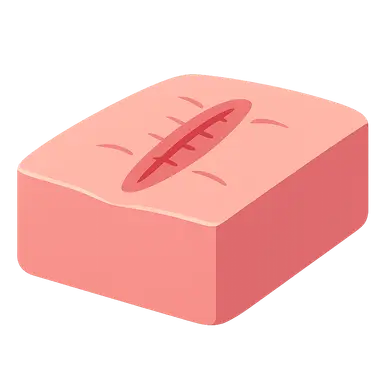 Scarring process and management