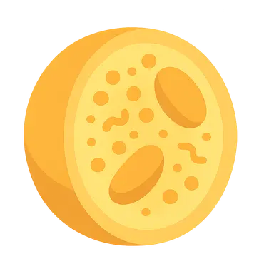 Disorders of Lipoprotein Metabolism