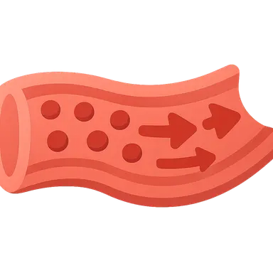 Hemodynamics and Blood Flow