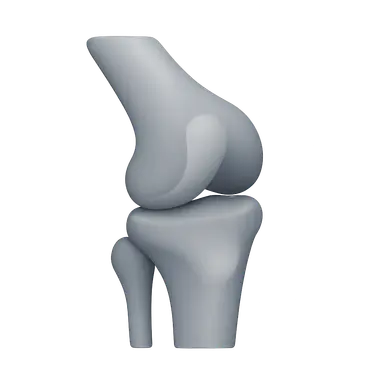 Radiographic Anatomy of Bones and Joints