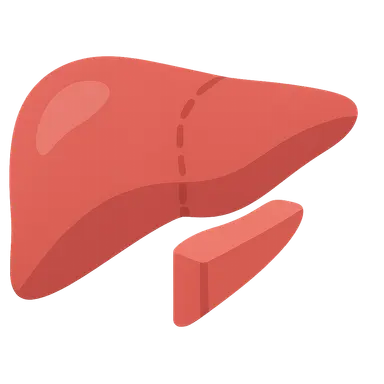 Liver resection principles