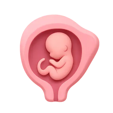 Pregnancy Diagnosis and Dating