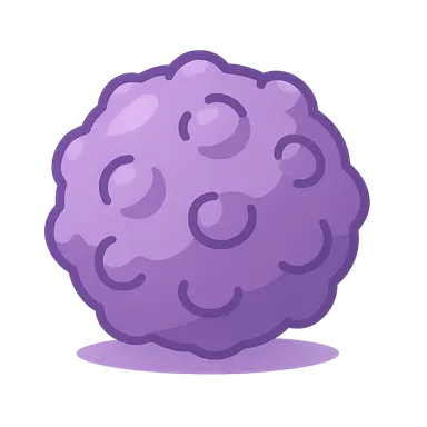 Solid Tumor Management