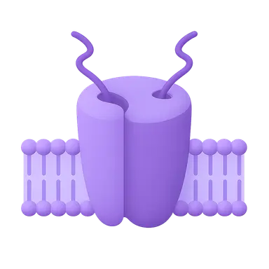 Molecular Basis of Excitability