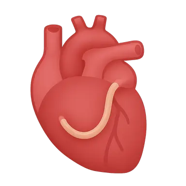 Post-Surgical Cardiovascular Imaging