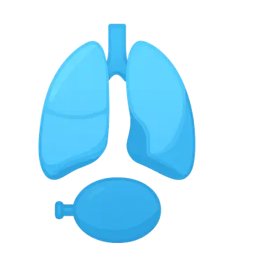 Definition of lung compliance