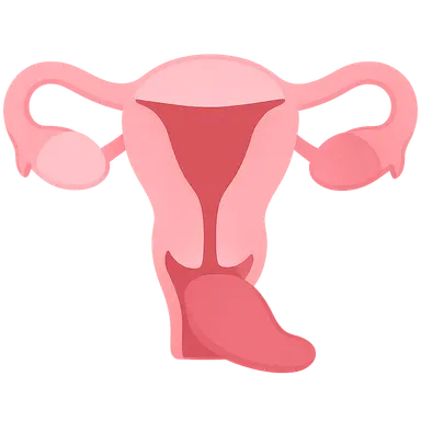 Pelvic Organ Prolapse