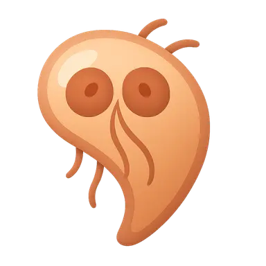 Intestinal protozoa (Giardia, Entamoeba)
