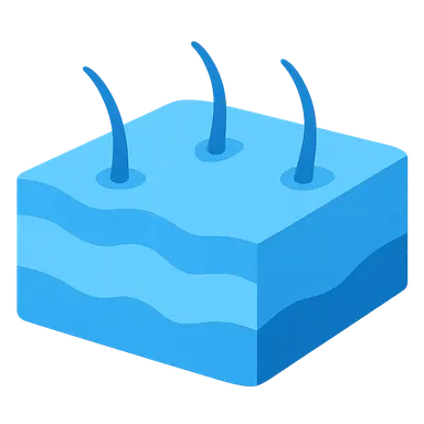 Dermatome overlap and clinical implications