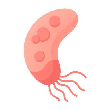 Blood and tissue parasites