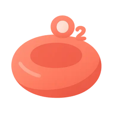 Oxygen transport in blood