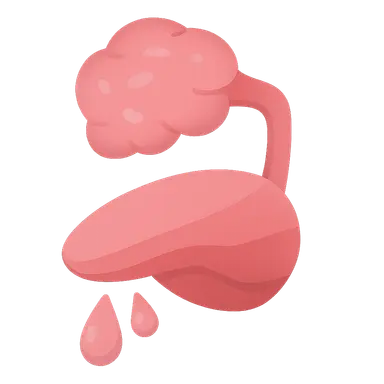 Salivary secretion and function